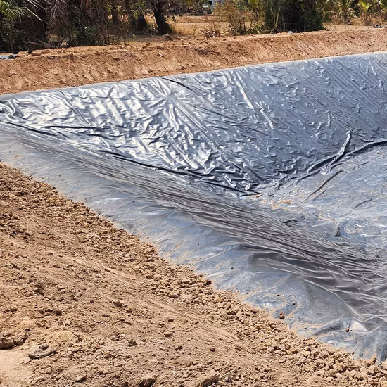 1mm 1.5mm 2mm Smooth and Textured Composite Circular Tanks EPDM HDPE Geomembrane