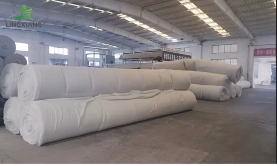 Earthwork Products Polyester PP Membrane Geotextile Filter Fabric Price