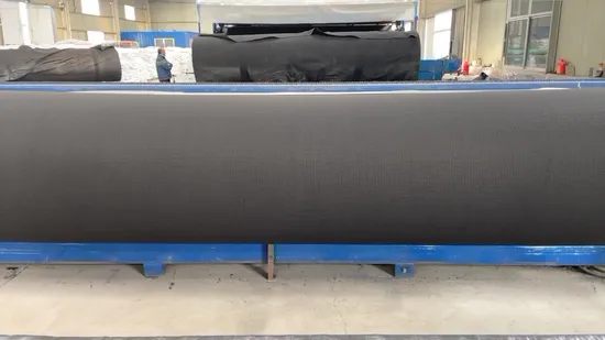 PP/Pet Roads & Railways Airports Project Building Material HDPE Geonet