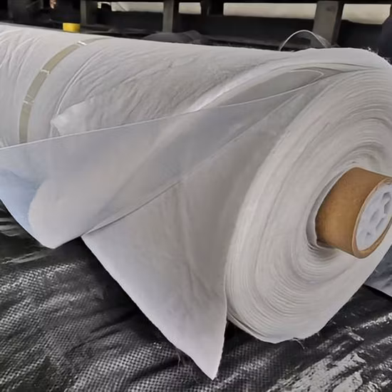 HDPE Waterproof Geomembrane Plastic Water Pond Liner Sheet/Polyethylene Waterproofing Membrane/Drainage Geocomposite