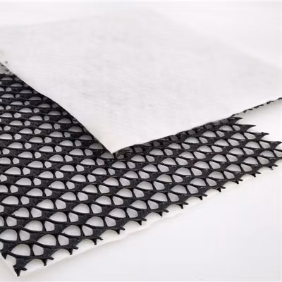 HDPE Geonet Composite Drainage Net 3D Geonet Manufacturer & Supplier