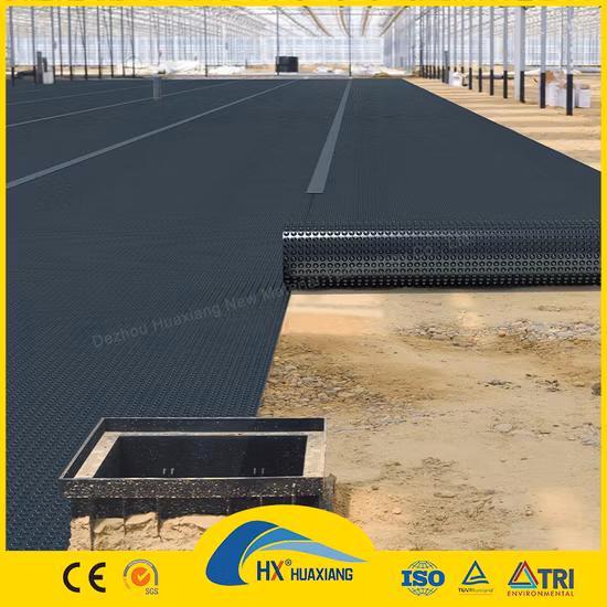0.2mm/0.5mm/1.0mm/2.0mm Black Plastic Sheet Liner CE/ASTM Viring Waterproofing HDPE Geomembrane for Agriculture/Dam/Landfill/Lake/Biogas/Aquaculture Project