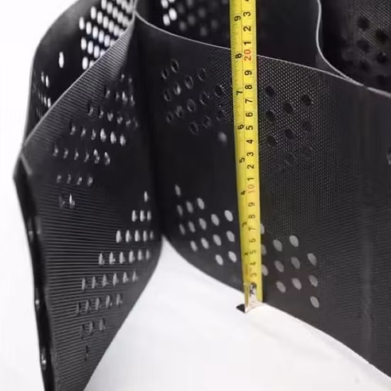 High Quality Plastic HDPE Geocell