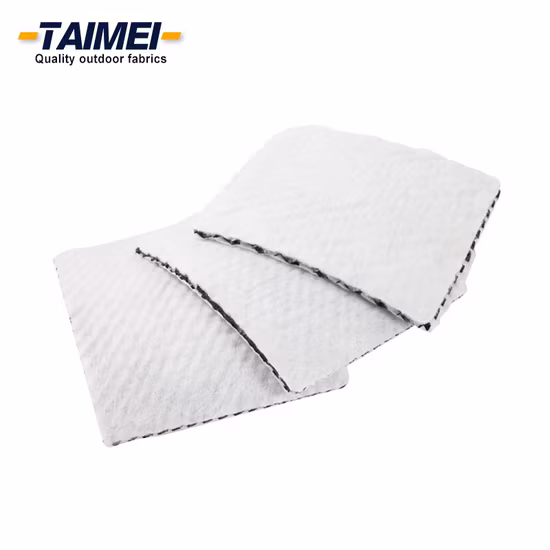 Salt Barrier Drainage Geocomposite Drain Drainage Layer Geocomposite Geogrids Geocomposite for Landfill Project