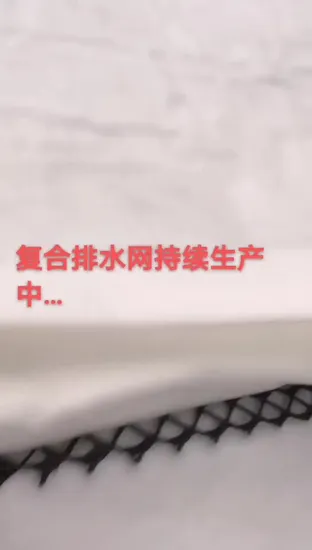 HDPE 3D Geocomposite Drain Geonet for Drainage