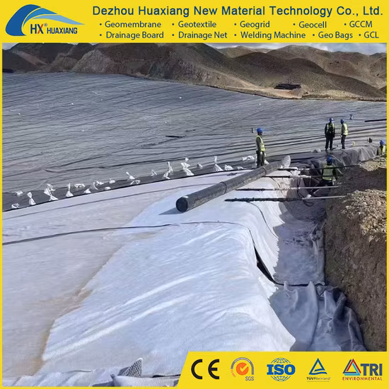 Geosynthetics Pet PP Non
