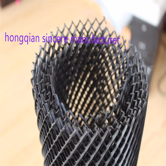 HDPE Geonet Bi
